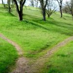 readjustment